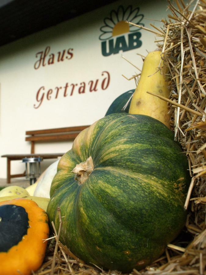 Haus Gertraud Villa Bad Gleichenberg Buitenkant foto